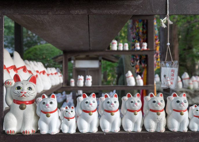 幸せを呼ぶ 招き猫 Live Japan 日本の旅行 観光 体験ガイド