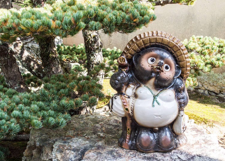 Mythology of the Japanese Tanuki: Legit Shapeshifter or Regular Animal