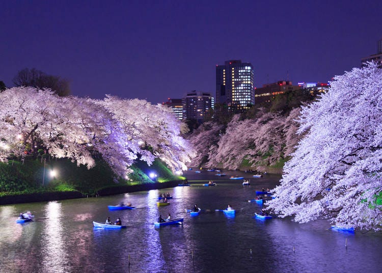 What is Hanami?