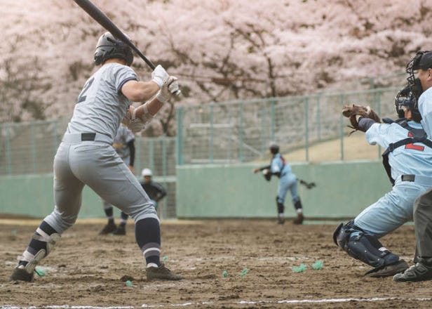 From Samurai to Sluggers: Exploring Japan's Love Affair with Baseball