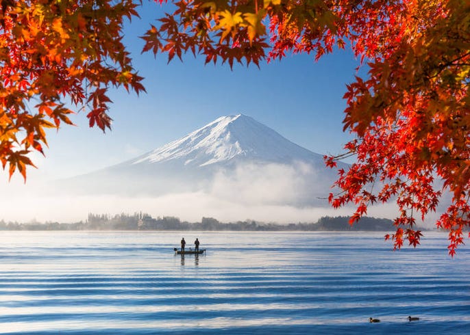 紅葉って 徹底紹介 Live Japan 日本の旅行 観光 体験ガイド