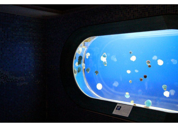 spa laqua experiencing a natural hot spring in the middle of tokyo live japan travel guide