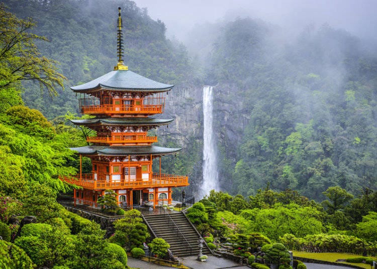新年の祝賀