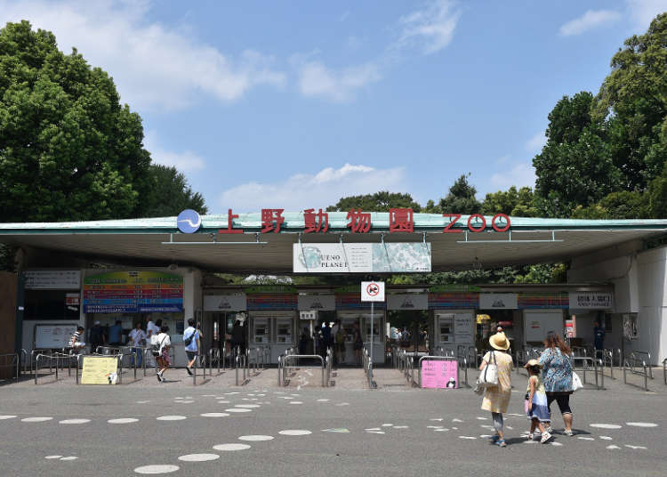 ไปเที่ยวสวนสัตว์อุเอโนะ สวนสัตว์ที่เก่าแก่ที่สุดในญี่ปุ่นกันเถอะ!