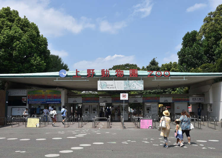 Ueno Zoo: Visit Tokyo’s Oldest Zoo