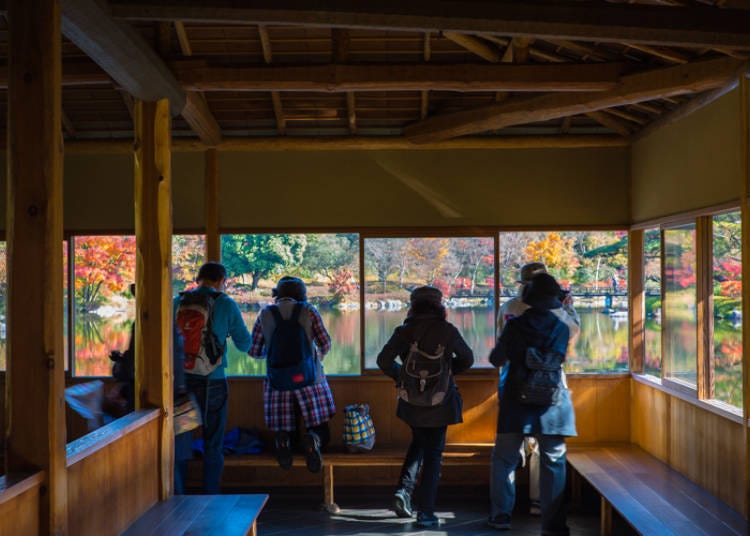 A Relaxing Japanese Garden