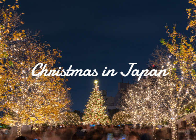 日本のクリスマス Live Japan 日本の旅行 観光 体験ガイド