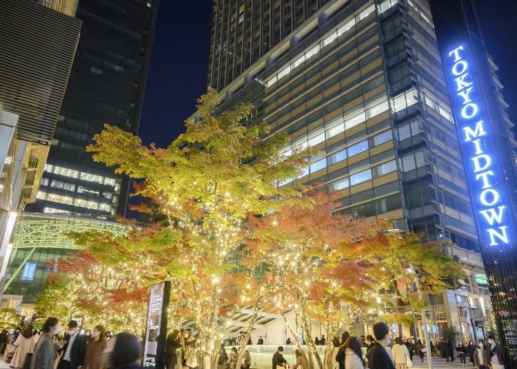 東京MIDTOWN的冬季點燈｜照片來源：PIXTA