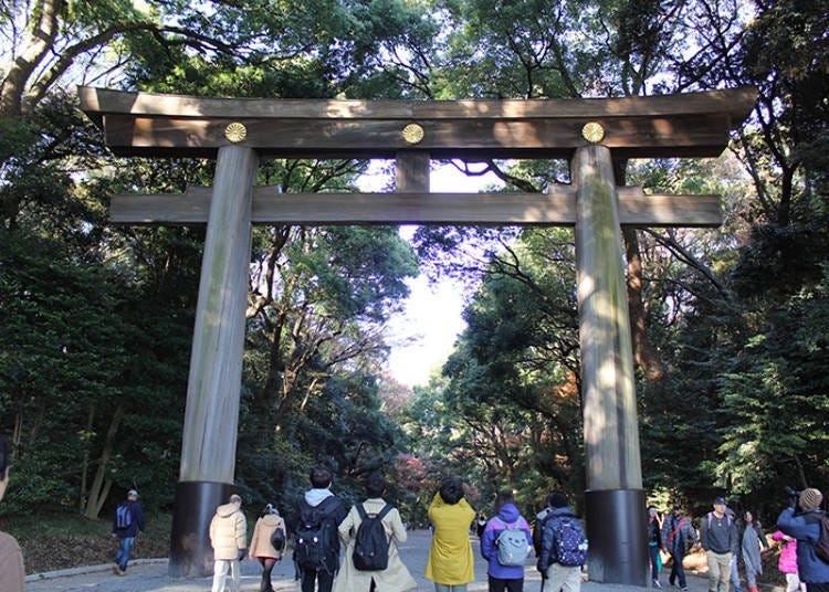 The southern entrance facing Harajuku Station has the widest of all approaches and boasts the most visitors.