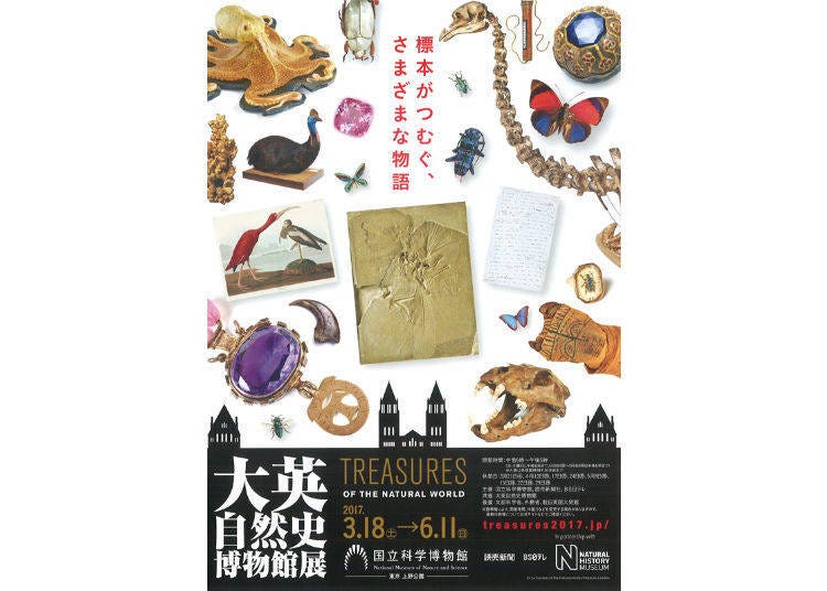 大英自然史博物館展