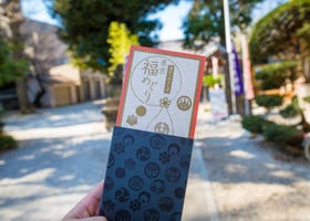 獲得滿滿幸福能量的神社，「東京招福」之旅