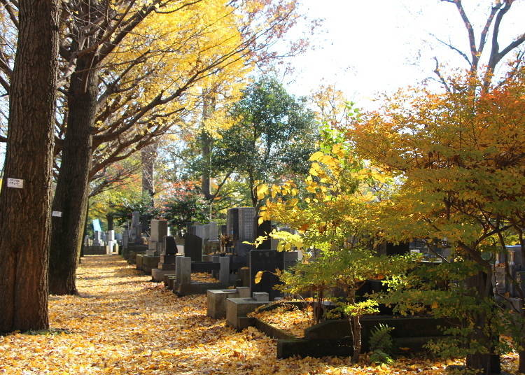 The Past and Present of Zoshigaya Cemetery