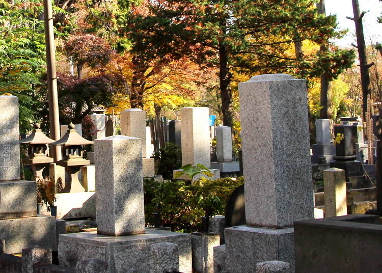 Inspired by the Dead: Zoshigaya’s Creative Minds