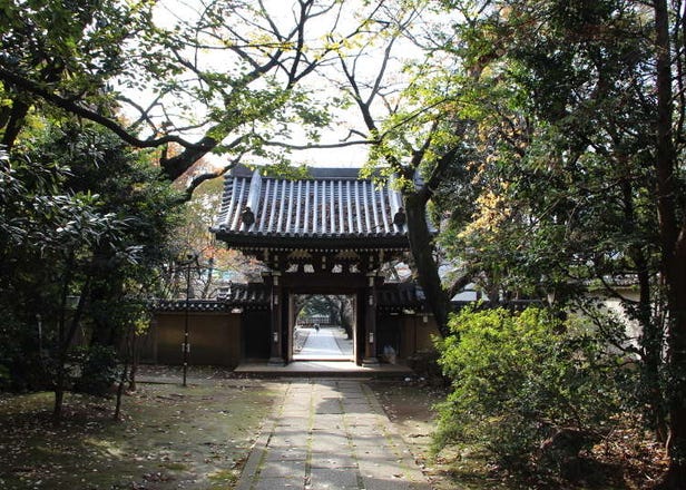 Zoshigaya: Explore Tokyo’s unknown side