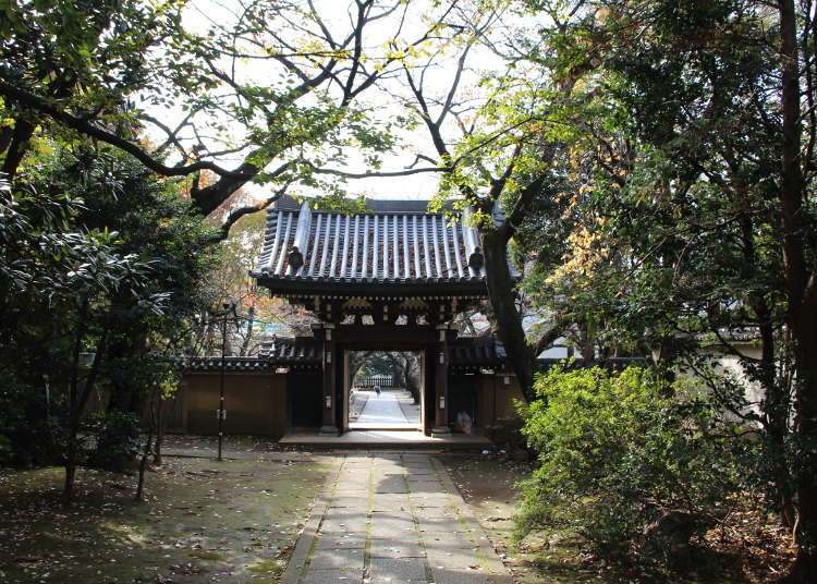 杂司谷 东京不为人知的另一面 Live Japan 日本的旅行 旅游 体验向导