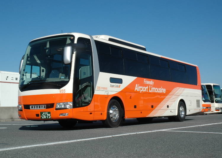 Airport Limousine Bus