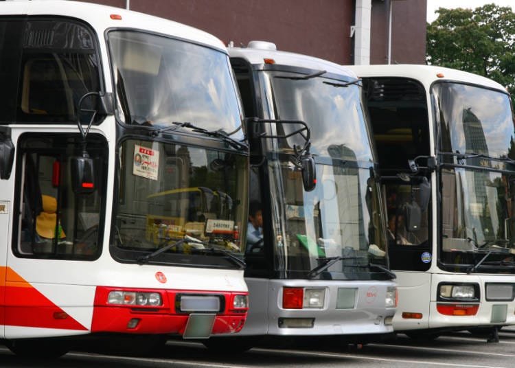 Taxis and Buses