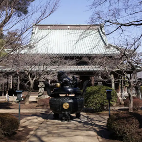 Gotokuji Temple (aka the 'cat temple')