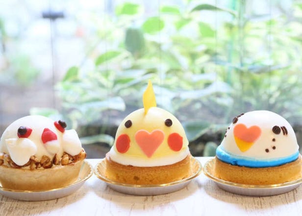 Kotori Café – Little Birds and Delicious Desserts
