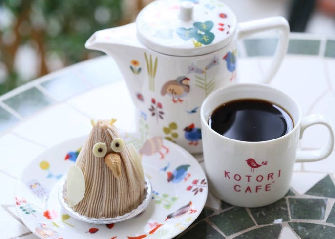 Adorable Bird Cafe in Osaka: Kotori Cafe 