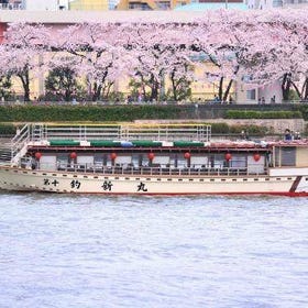 Asakusa Yakatabune Boat Ride with Meals & All-You-Can-Drink Beverages
(Image: KKday)