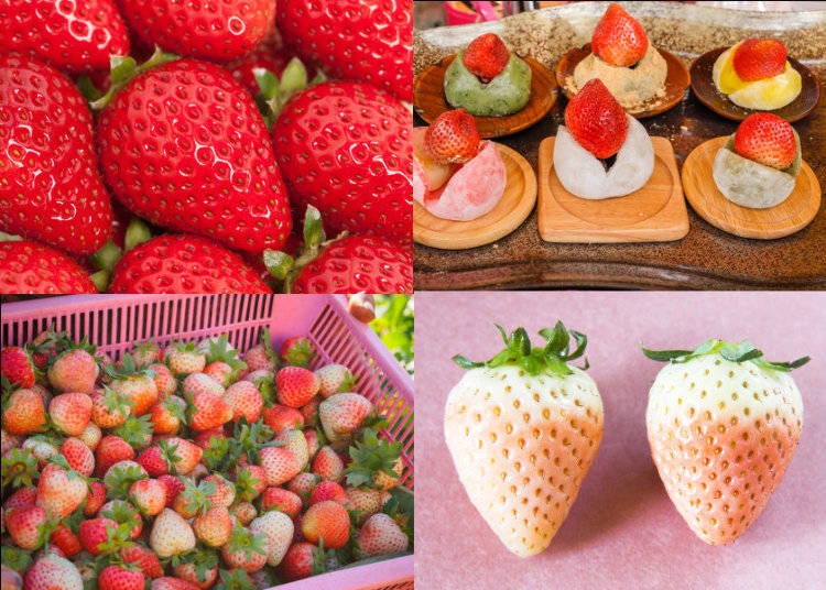 Strawberry, the Queen of Japanese Spring Foods