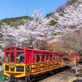 Kyoto Sagano Romantic Train in Arashiyama Bus Tour