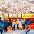 Osaka Spring Daytime (Cherry Blossom) Food Tour