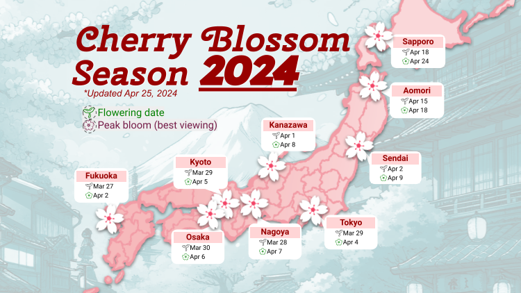 Latest Japan Cherry Blossom 2024 Forecast: When & Where to See Sakura in Japan (Updated 2/29)