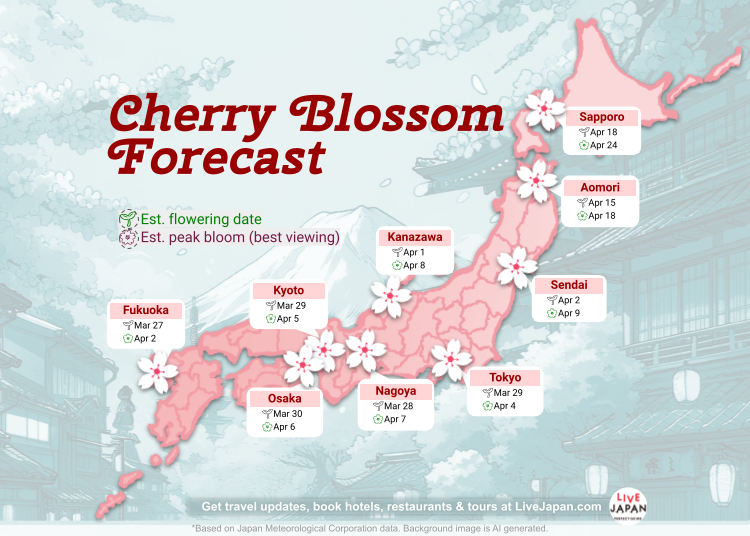 最新 2024 年日本樱花盛开预测：日本赏樱时间和地点