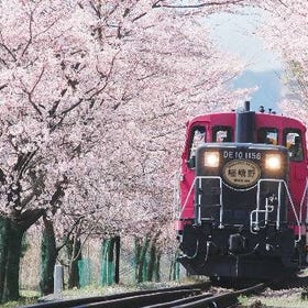 Kyoto Area: Kyoto Sagano Romantic Train, Arashiyama, Kiyomizudera & Fushimi Inari-taisha Day Tour
Photo: Klook