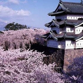 Aomori Area: Hirosaki Full-Day Private Tour with Government-Licensed Guide
Photo: Viator