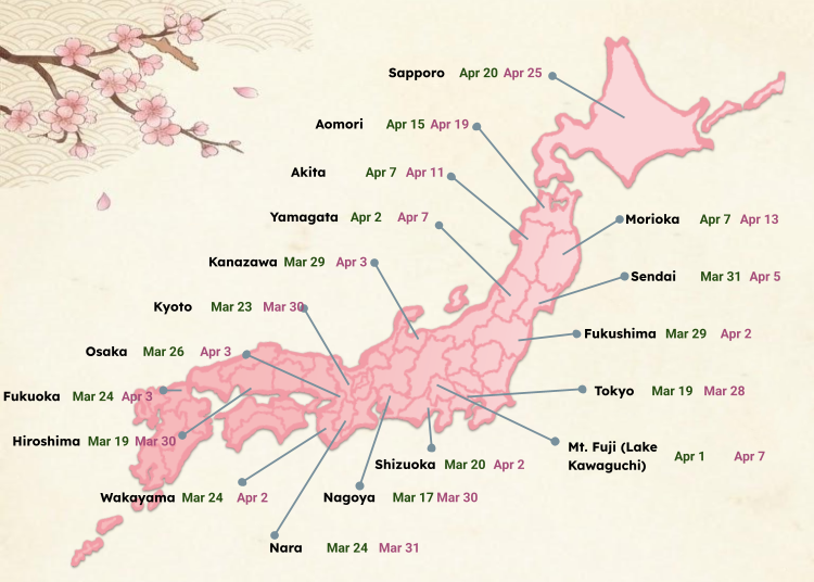 2026 Cherry Blossom Forecast Map (April 2 Update)