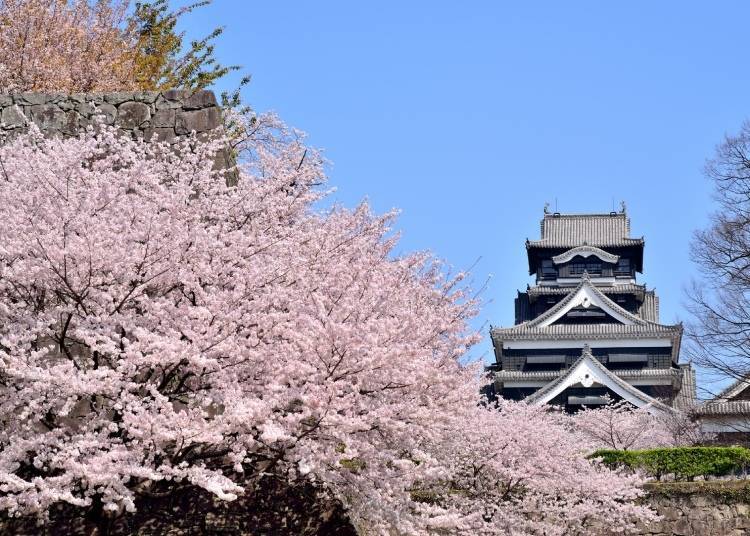 熊本城（照片：PIXTA）