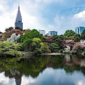 東京： 政府認證導遊陪同・東京日式庭園私房導覽行程
照片：Viator