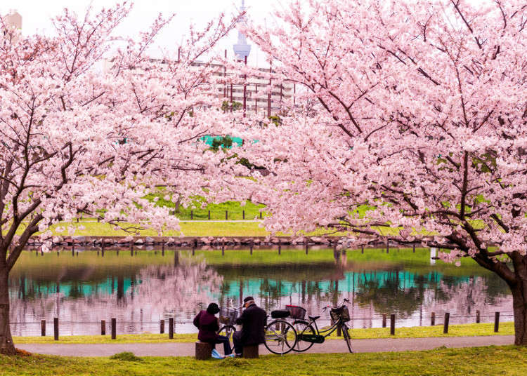 tokyo day trip spring