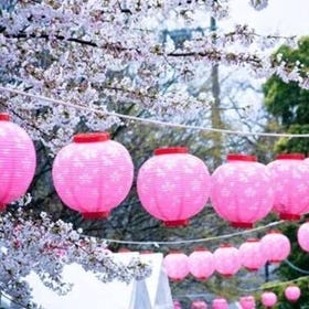 [最新]10大日本櫻花祭典+舉辦日期整理！原本的賞花不是賞櫻花!?