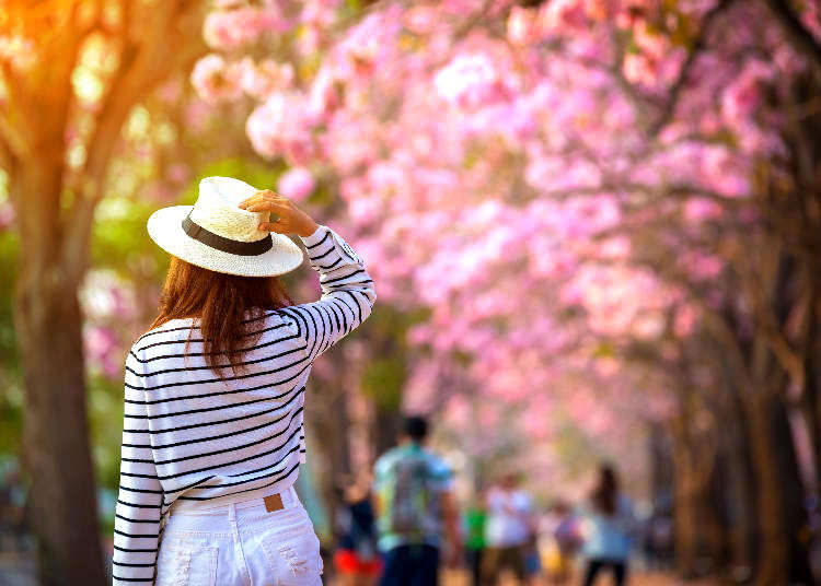 春の気温＆天気とおすすめの服装は？ 花見や観光前にチェックしておこう！