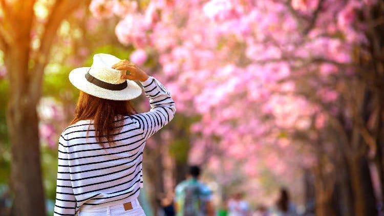 春の気温＆天気とおすすめの服装は？ 花見や観光前にチェックしておこう！