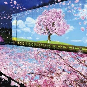 Ashikaga Flower Park "Wisteria Story" Admission Ticket
▶ Tap to Book
Image: kkday
