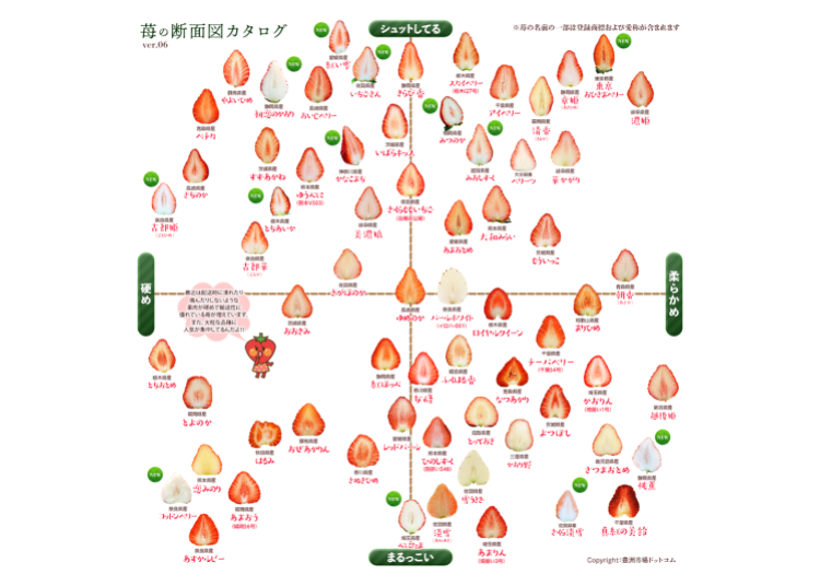 Chart showing Japanese strawberry varieties