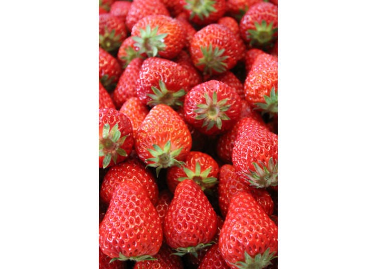 日本草莓必吃4種：④紅ほっぺ（benihoppe）
