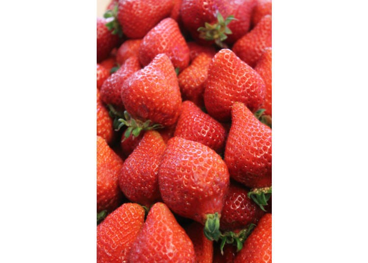 日本草莓必吃4種：②あまおう（amaou）