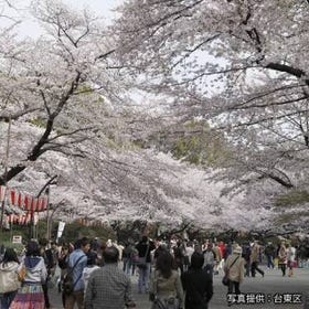 Ueno Park/Ueno Zoo: Ueno Station (JR Yamanote Line, Keihin-Tohoku Line; Tokyo Metro Ginza and Hibiya lines)