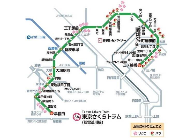 東京さくらトラム（都電荒川線）ーレトロな路面電車