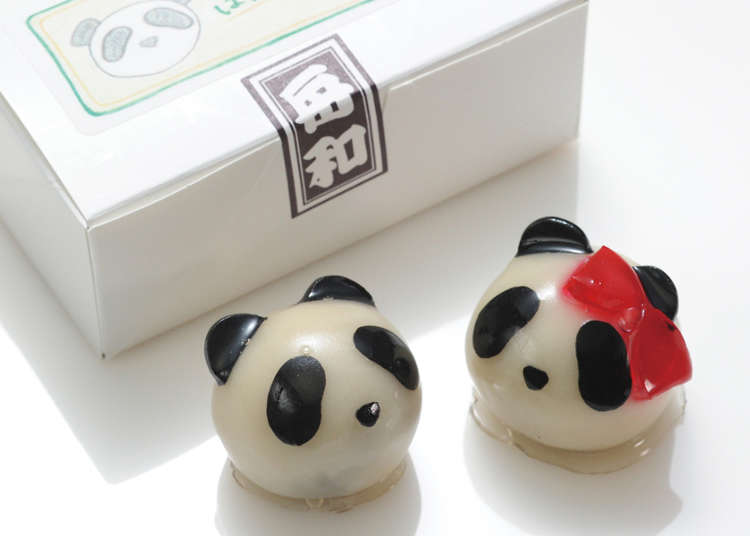 Ueno's Panda Sweets: Five Unique and Delicious Souvenirs of Tokyo's Favorite Zoo Inhabitants