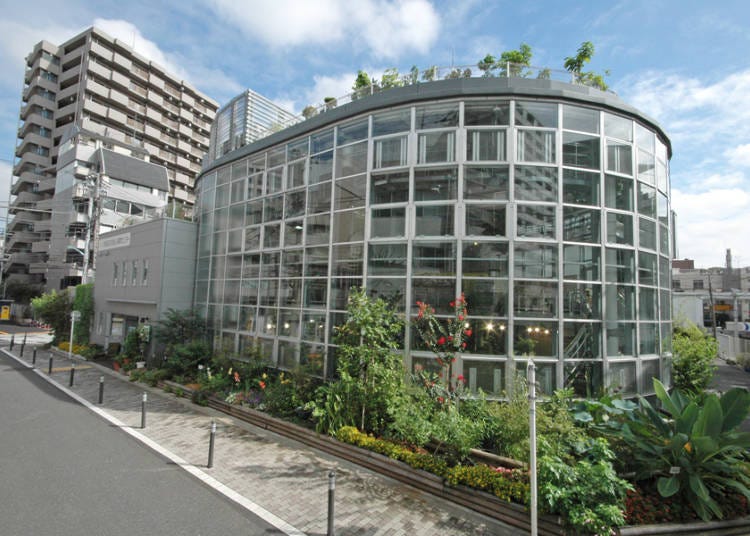 Shibuya Fureai Botanical Garden Center: Lush, Exotic Nature for a mere 100 Yen!