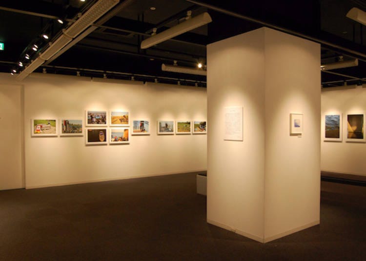 Ginza Nikon Salon - Exceptional Photography by Professionals and Amateurs Alike