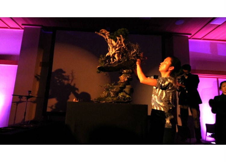 日本と世界を驚かす型破りな盆栽アート
