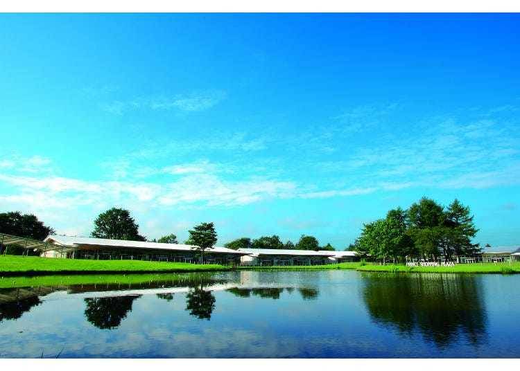 4. Karuizawa Prince Shopping Plaza: A Premier Destination in Nagano